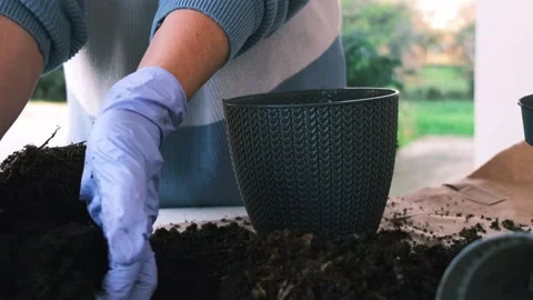 Transplanting plants: close-up of gloved hands Stock Footage 229659027