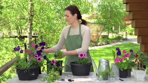 Transplanting plants into large pots. Stock Footage 155018887