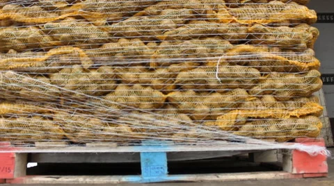 Transport of food in a organic market warehouse  Stock-Footage 59484262