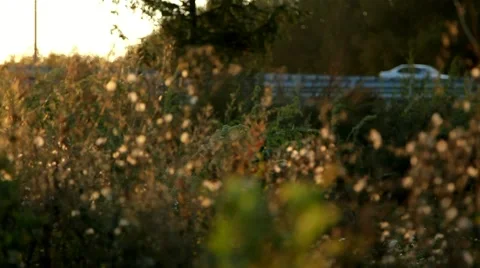 Transport interchange at sunset Stock Footage 54921453