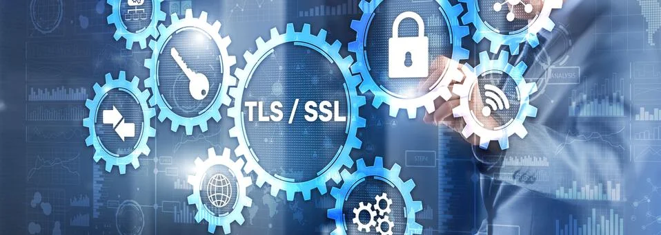 Transport Layer Security. Secure Socket Layer. TLS SSL Fotos Stock