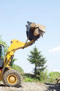 Transport of timber Stock Photos