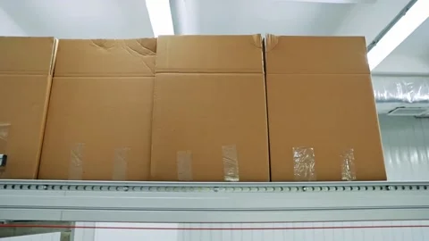 Transportation along the production line of boxes, for packing seedlings and Stock Footage 180106193