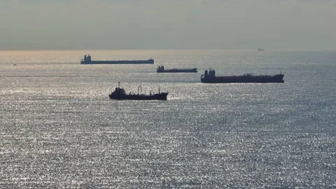 Transportation and Container ships wait on the ocean in front of the port of Stock Footage 227922831