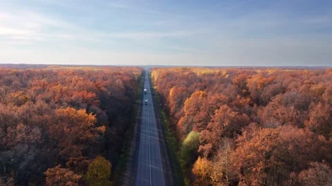 Transportation of building materials with the help of large and medium-sized Stock Footage 163195373