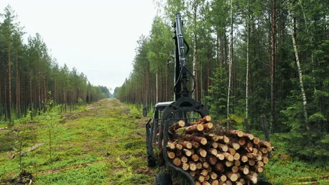 Transportation of collected tree trunks from the timberland to the lumber mill. Stock Footage 238014750