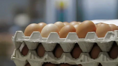 Transportation of Eggs for automated sorting Video stock 62398151