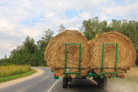 Transportation of haystacks 库存照片