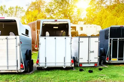 Transportation of horses Stock Photos
