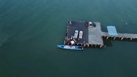 Transportation of Live Seafood Stock Footage 203766023