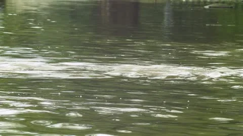 Transportation Problem After Heavy Rain Vídeo Stock 22338681