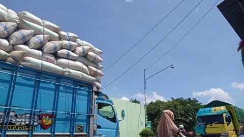 Transportation of rice fields Stock Footage 151058084
