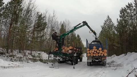 Transportation of timber. Forwarder loads timber into a timber truck. 스톡 동영상 181341081