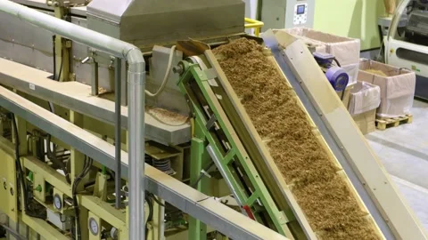 Transportation of tobacco on the farbic Stock Footage 169190845