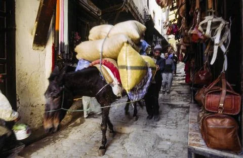  transporte en burro. callejones de Fez (Fez el-Bali).Marruecos. transport... Stock Photos