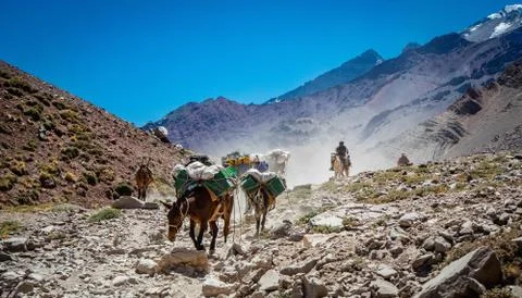 Transporting cargo in a mountain valley 스톡 사진