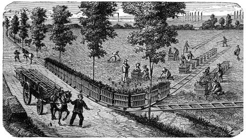 Transporting a process load on a portable rail, vintage engraving. Stock Illustration