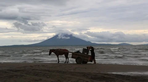 Transporting Water from the Lake Video stock 42137894