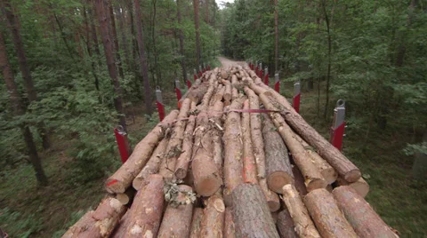 Transporting wood logs Video stock 34304835