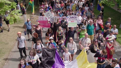 Transsexual Flag Queer Protest Board in Crowd Lhbti+ Gay Pride Amsterdam Stock Footage 234410024