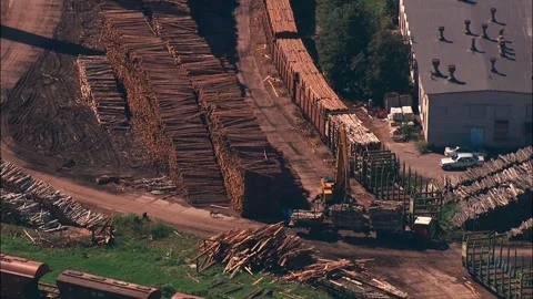 Transshipment of wooden logs Stock Footage 245959638