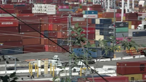 Transshipping cargo at container port  Stock Footage 211805232