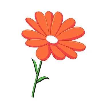 Transvaal Daisy Icon Stock Illustration
