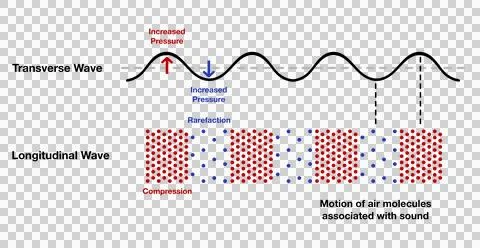 Transverse and longitudinal waves with compression and rarefaction Stock Illustration