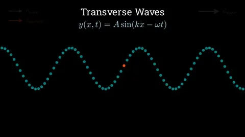 Transverse and longitudinal waves Vídeo Stock 335764552
