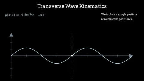 Transverse Wave Kinematics Stock Footage 335764550