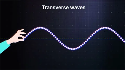 Transverse Waves Animation. Longitudinal... | Stock Video | Pond5