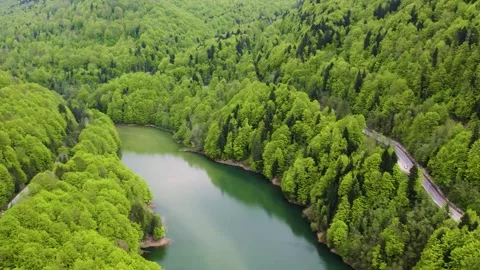 Transylvania Forest Pull-in Aerial Romania Stock-Footage 334594837