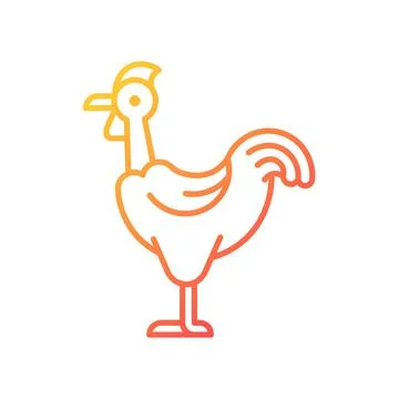 Transylvanian chicken gradient linear vector icon Stock Illustration
