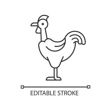 Transylvanian chicken linear icon Stock Illustration