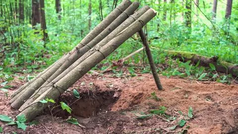 Trap for animals in the forest Stock Photos