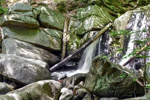 Trap falls  in willard brook on a spring day Stock Photos