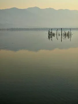 Trap in the lake Stock Photos