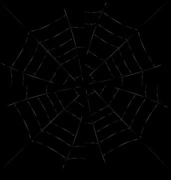 Trap Spider Web Stock Illustration