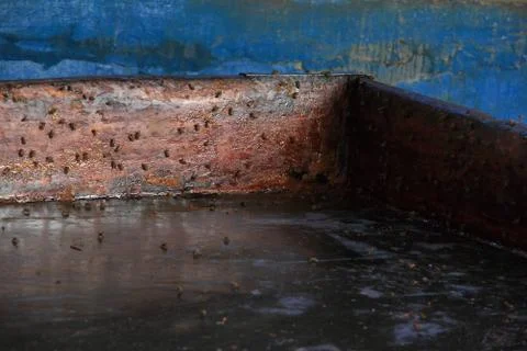 Trapiche Stock Photos