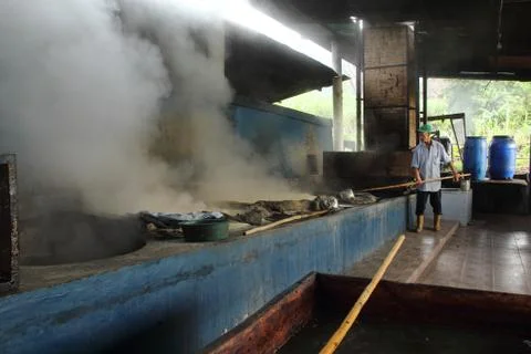 Trapiche Worker Stock Photos