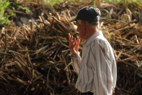 Trapiche Worker Stock Photos