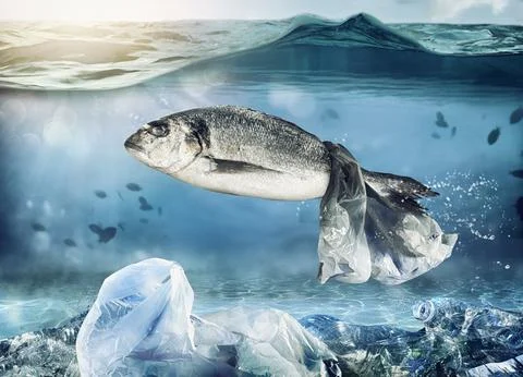 Trapped fish by a floating bag. Problem of plastic pollution under the sea .. 스톡 사진