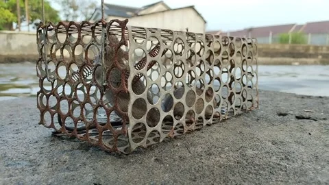 Trapped mouse Stock Footage 292962698