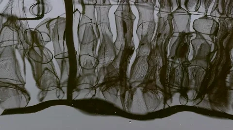 Traps are reflected in water Stock Footage 56090601