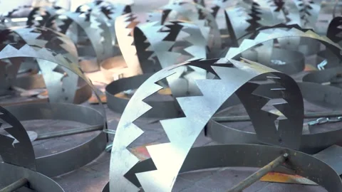 Traps Stock Footage 237294600