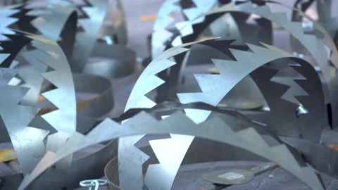 Traps Stock Footage 237294601