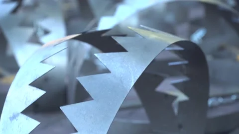 Traps Stock Footage 237294608