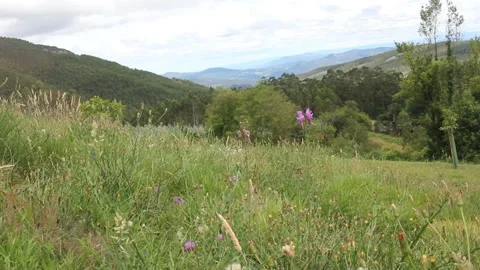 Traquility in the mountains of Valadouro, Spain Stock Footage 259521565