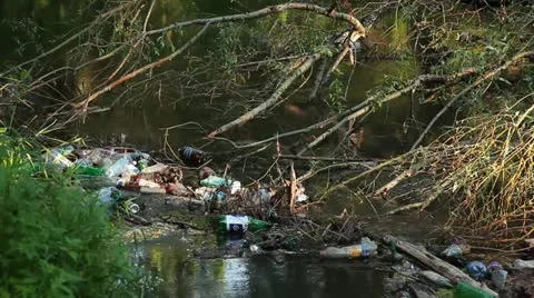 Trash 001 Stock Footage 18099102