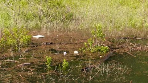 Trash along a shoreline Stock Footage 107884403